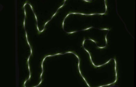 Prisma Light utomhusbelysning referens: Rekreation & Fritid Motionsspår Ljusberäkning