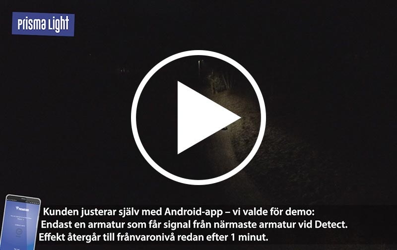 Prisma Light Eliott Detect