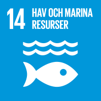 Agenda 2030 Mål 14