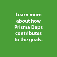Prisma Daps SDGs Goal 3