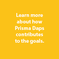Prisma Daps SDGs Goal 7