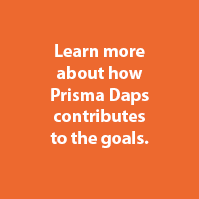 Prisma Daps SDGs Goal 9
