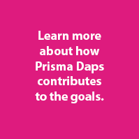 Prisma Daps SDGs Goal 10