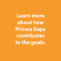 Prisma Daps SDGs Goal 11