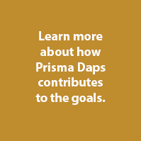 Prisma Daps SDGs Goal 12