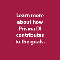Prisma DI SDGs Goal 8