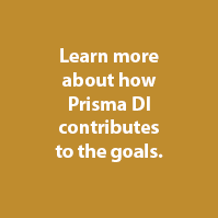 Prisma DI SDGs Goal 12