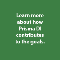 Prisma DI SDGs Goal 13