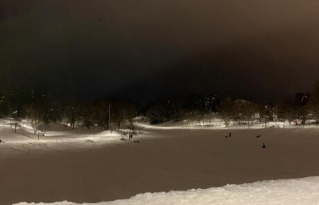 Park & Natur: Park, Efter