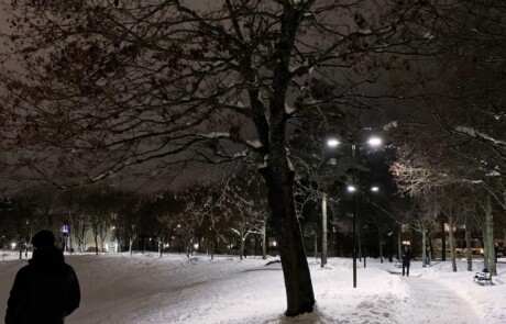 Park & Natur: Park, Efter