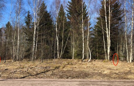 Rekreation & Fritid: Utegym, Före