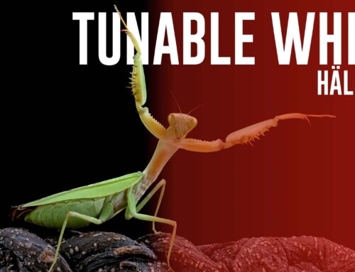 Tunable White Hällekis