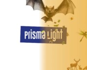 Prisma Light Tunable White