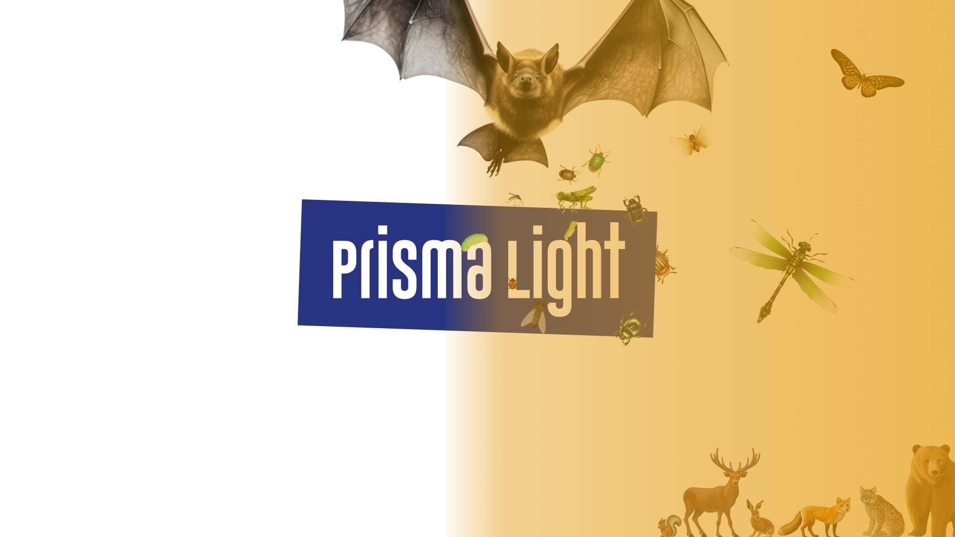 Prisma Light Tunable White